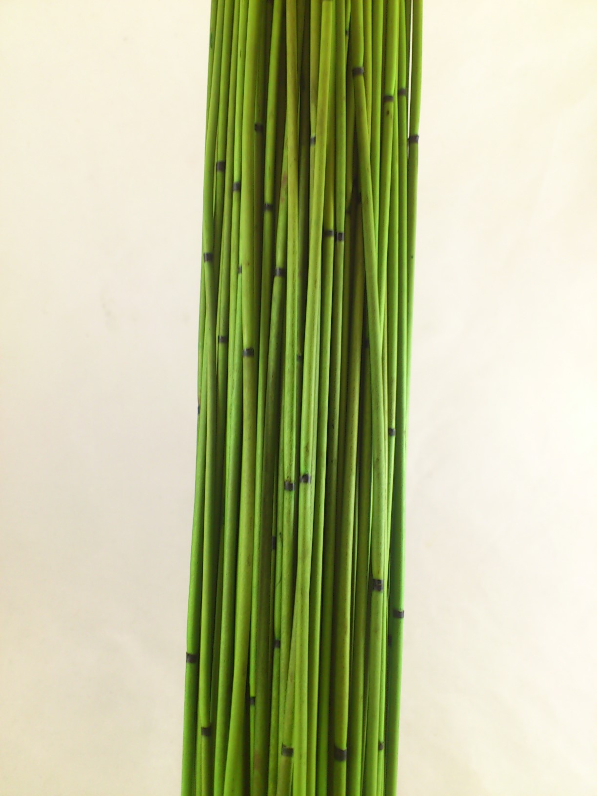 Mikado 400 gr. 80 cm vert pomme